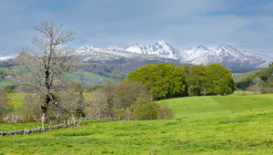 Location de Véhicules Utilitaires Mont-de-Marsan